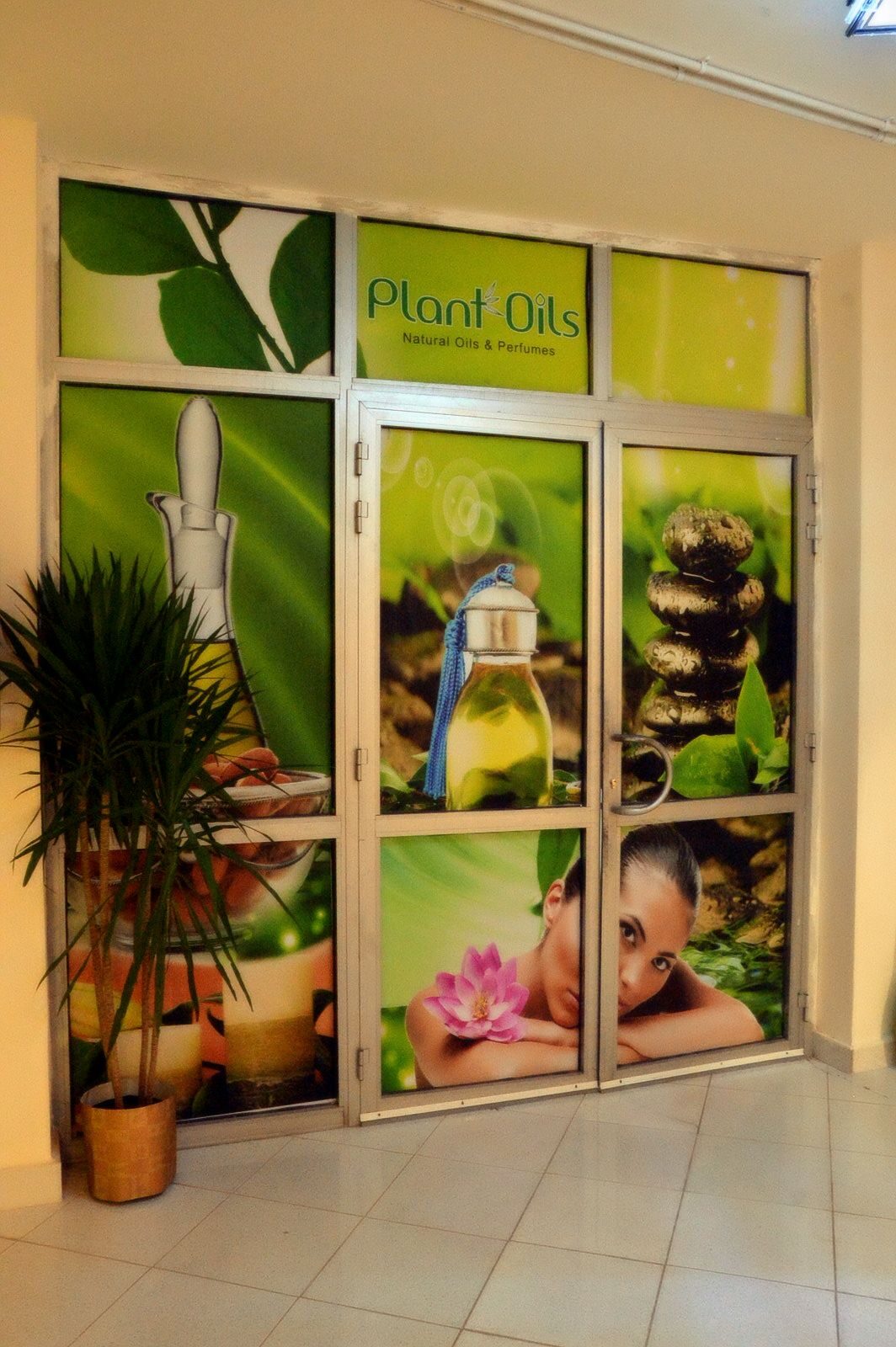 WINDOW GRAPHICS